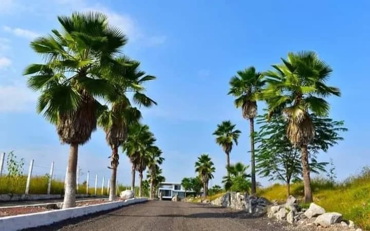 🚨TERRENO DE ¡OPORTUNIDAD! EN TEQUESQUITENGO MORELOS